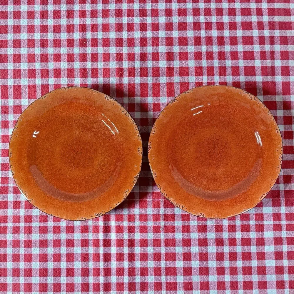 Pier 1 Imports Set of 2 Orange Carmelo Melamine Dinner Plates Crackle Finish